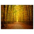 thumbnail image 2 of Pathway dans la Forêt d'Automne Verte - Impression sur Toile de Photographie, 2 of 3