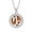 Capricorn, variant on Men's Women's Stainless Steel Creative Round Essential Oil Diffuser Pendant 12 Constellations Necklace Horoscope Jewelry Aquarius
