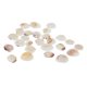 thumbnail image 1 of Beach Conch, para pecera, hogar, decoraciones , pecera y jarrón Gloria Decoración del tanque de peces de acuario, 1 of 9