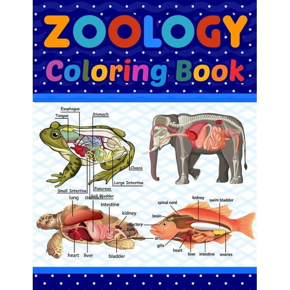 Zoology Coloring Book: Medical Anatomy Coloring Book for kids Boys and Girls. Zoology Coloring Book for kids. Stress Rel, (Paperback)