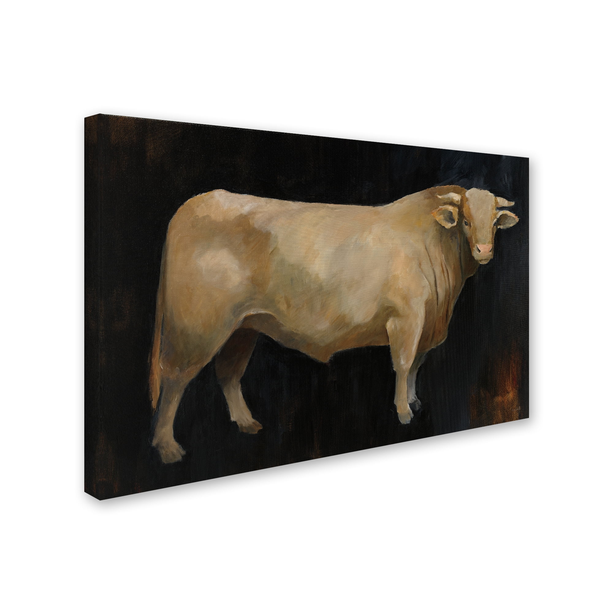 Trademark Fine Art 'Beau Crop' Canvas Art by Avery Tillmon