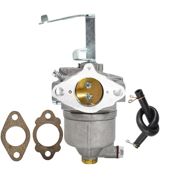Carburetor with Gasket Assembly Fit for Yamaha MZ360 Engine Carb with Fuel Line