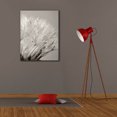 thumbnail image 4 of Epic Graffiti 'Dandelion Jewels I' by Lori Deiter, Canvas Wall Art, 26"x34", 4 of 8
