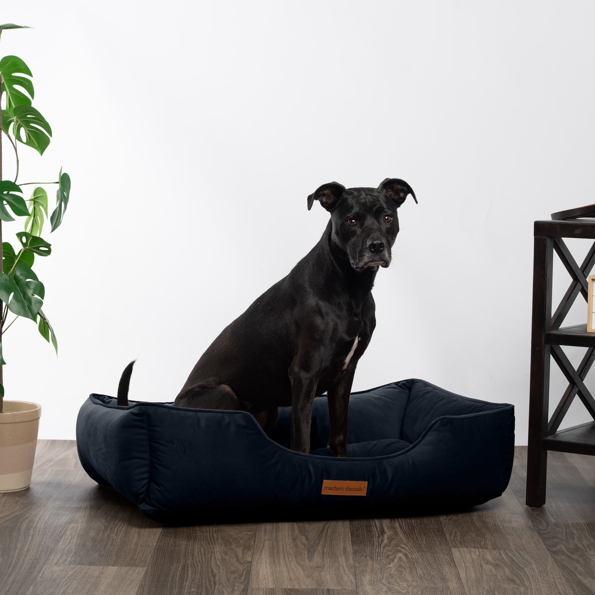 Modern Threads Large Luxury Velvet Tufted-Style Dog Bed, Denim