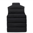 thumbnail image 3 of Men's Autumn/Winter Fashion Solid Colour Warm Down Cotton Zip Vest S, 3 of 4