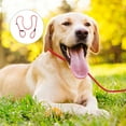 thumbnail image 1 of AURARMLET Dog Walking Leash Weatherproof Nylon for Pet Training Jogging Hiking Reflective Safety Red, 1 of 7