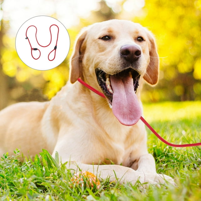 AURARMLET Dog Walking Leash Weatherproof Nylon for Pet Training Jogging Hiking Reflective Safety Red
