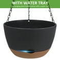 thumbnail image 4 of 10 Inch Hanging Planter, 2 Pack Plant Hanger Indoor Outdoor, Self Watering Plant Pot Hanging Baskets Holder Plants for Garden Home-Gray, 4 of 8