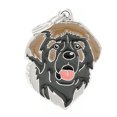 thumbnail image 2 of Cheers Anti-Lost Pet Dogs ID Tag Collar Nameplate Pendant Key Chain Ring Bag Ornament, 2 of 2