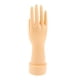 thumbnail image 1 of Mano de mujer adulta Derecha Mano Natural, 1 of 9