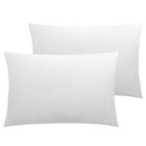 Ntbay 2 Pack Velvet Toddler Pillowcases, Soft and Warm Travel Pillow Covers with Hidden Zipper Closure, 13" x 18", White