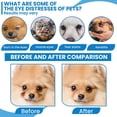 thumbnail image 7 of FeiFu 20 PCS Pet Disposable Gloves Dog Cats Bath Cleaning Gloves Waterless Grooming Wipes Gloves for Decontamination Hair Removal Pet Care Supplies, 7 of 7