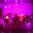 thumbnail image 3 of Coolmade 2 Set Christmas String Lights Battery Operated 8 Modes 16.4ft 50Leds Fairy Lights Firefly Twinkle Lights Remote Timer for Bedroom Garden Party Indoor Decor Pink, 3 of 7