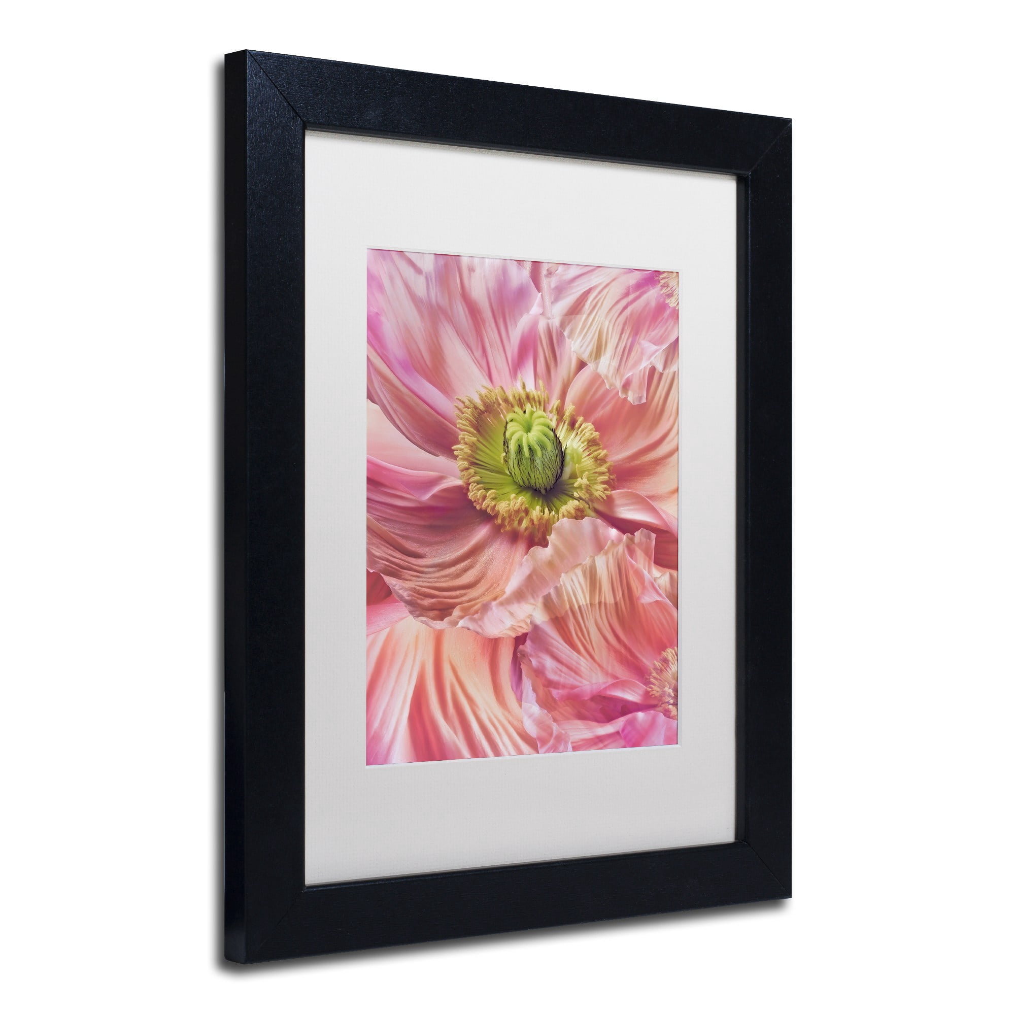 Trademark Fine Art 'Cerise Pink Poppy' Canvas Art by Cora Niele, White Matte, Wood Frame