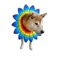 thumbnail image 2 of Disfraz para perro CheetahBoo con flores y arcoíris con cuello tipo bandana, XS-XXL, 2 of 2