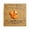 Orange, variant on Encouragement Gift Card with Resin Animal Figurine and Inspirational Message for Birthday Friendship Thinking of You, 2.8 x 2.8 Inch.