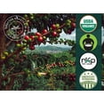 thumbnail image 2 of USDA Certified Organic - Nespresso Compatible Pods - Dark Chocolate Flavored Espresso (40 Pods), 2 of 7