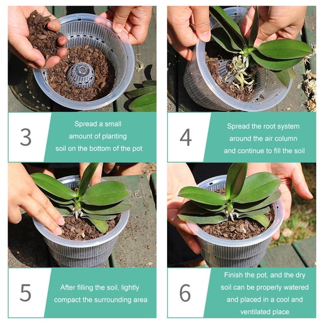 Root Control Orchid Flower Mesh Pot Contenedor transparente transpirable (12 cm) Sywqhk Libre de BPA