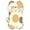 C, variante sur Grattoir pour Chat Mural Gain de Place, Tapis Horizontal en Carton pour des Soins Durables des Ongles et le Divertissement des Animaux