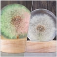thumbnail image 4 of BRIGHTFUFU 1 Set Resin Casting Molds Tealight Holder Mold Multi Color Party Night Light, 4 of 7