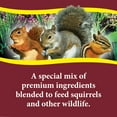 thumbnail image 3 of 3-D Pet Products Premium Squirrel and Wildlife Food, 10 lb. Dry, 1 Pack, 3 of 10