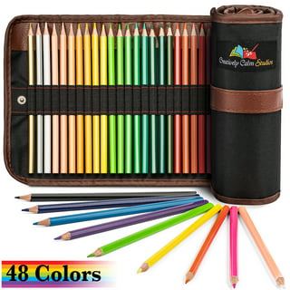 Crayola Color Caddy 90 Art Tools in A Storage Caddy