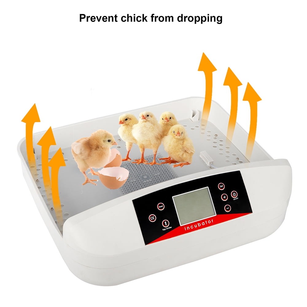 Private Jungle 42-Egg Digital Incubator - wuyule Egg Incubator for Hatching Poultry Hatcher with Fully Automatic Egg Turning, LED Candler, Mini Egg Incubator Breeder Private Jungle 42-Egg Digital Incubator - wuyule Egg Incubator for Hatching Poultry Hatcher with Fully Automatic Egg Turning, LED Candler, Mini Egg Incubator Breeder