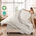 thumbnail image 3 of Bare Home Organic Percale Sheet Set - 100% Organic Cotton - Queen, French Beige, 3 of 10