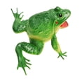 thumbnail image 3 of Lubelski Sounding Frog Toy Clear Texture Puzzle Tricky Props Simulation Sounding Frog Toy for Presentations, 3 of 8