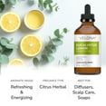 thumbnail image 2 of Eucalyptus Lemon Essential Oil by Velona - 0.5 oz | Therapeutic Grade for Aromatherapy Diffuser Undiluted, 2 of 5