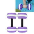thumbnail image 1 of Pesas de Agua, Mancuernas de Ejercio Acufico, Mancuernas de Agua, Equipo de Pesas Aqua Fitness para Ejercio AerÓbico Acuarto, 1 of 7