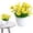 A, variant on Under $3 Artificial Potted Chrysanthemum 21-Head Button Mum Pot For Office Desk Greenery,Plastic (D) (1Pc)