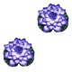 thumbnail image 1 of Loto artificial decorativo realista Cateissary color Azul 2Conjunto, 1 of 6