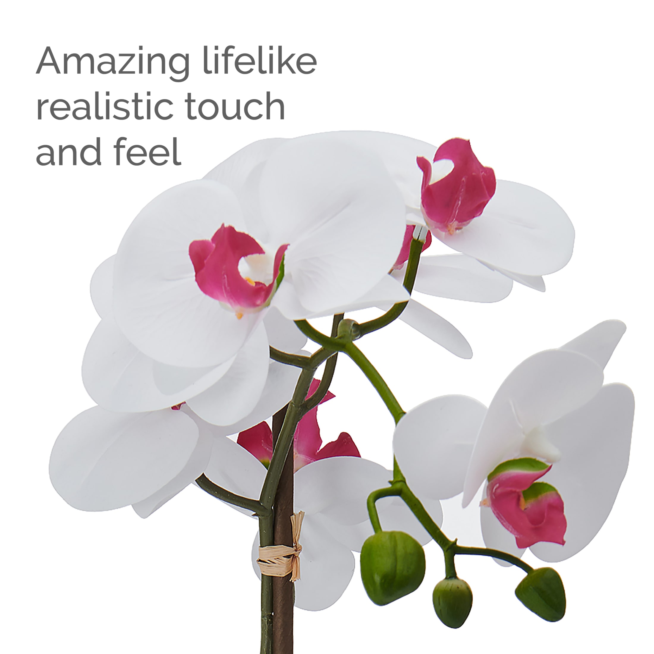 Home Accents 22-inch Artificial Real Touch Phalaenopsis Orchid in Cement Pot, White/Pink