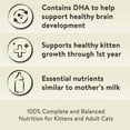 Special Kitty Complete Nutrition Formula Dry Cat Food, Chicken & Turkey