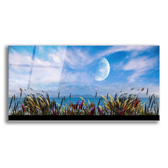 Epic Art 'Nature Collection 9' by Ata Alishahi, Acrylic Glass Wall Art, 24"x12"