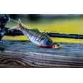 thumbnail image 2 of Treble Head Baby Shad 1/8, 2 of 7