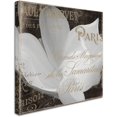 thumbnail image 2 of Trademark Fine Art "Fleurs Blanc II" Canvas Art by Color Bakery, 2 of 3