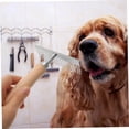 thumbnail image 4 of IFANLANDOR Peigne Démêlant pour Chiens Séances de Toilettage avec Acier Inoxydable 1ensemble, 4 of 8