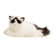 thumbnail image 4 of Figuras de gatitos y gatos de peluche acurrucados, adornos para manualidades, decoración abrazable para el hogar, animales de peluche encantadores, 4 of 9