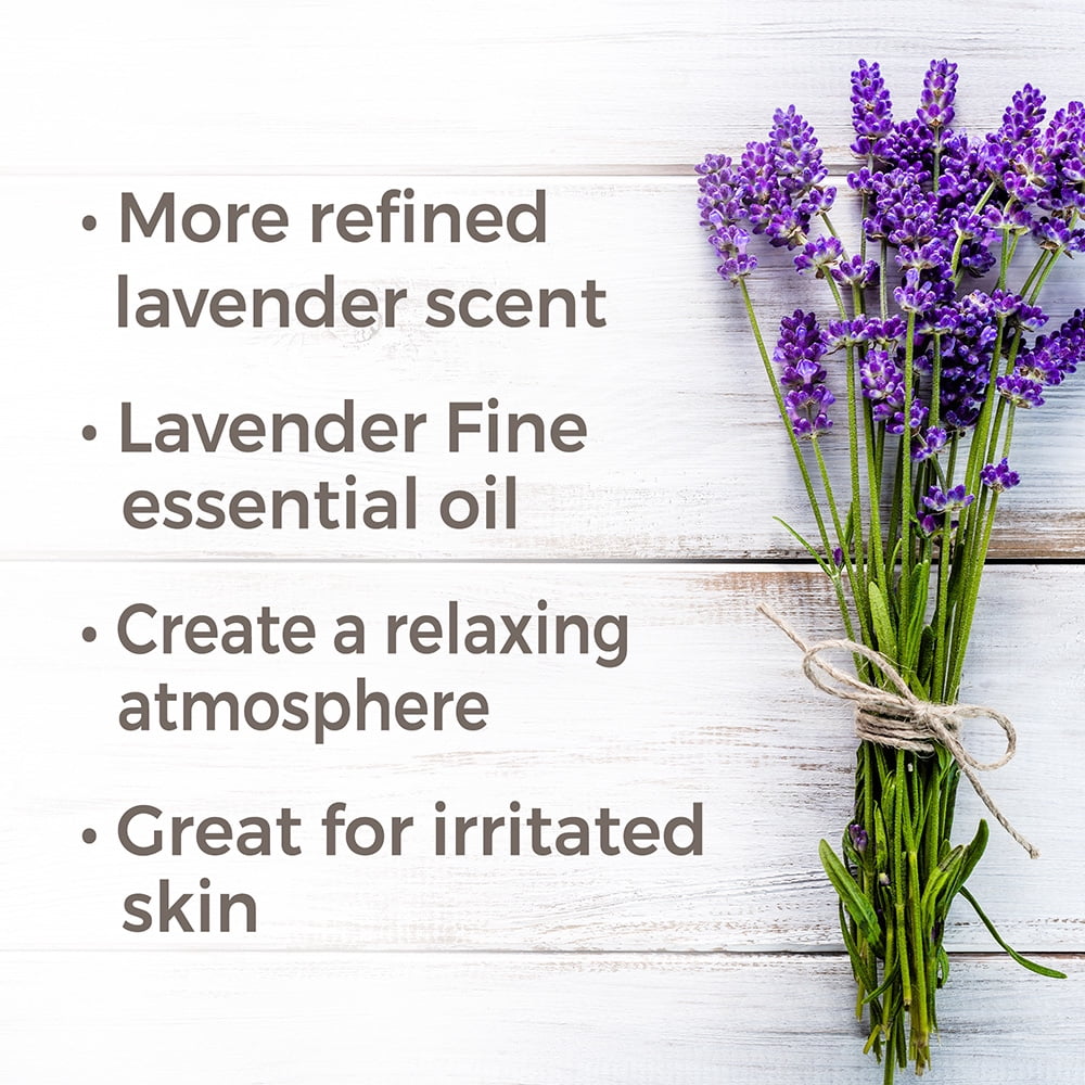 Plant Therapy Essential Oils Lavender Fine Organic 100 mL (3.3 oz) 100% Pure, Undiluted