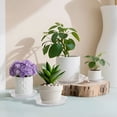 thumbnail image 5 of urorentea 24Pcs Clear Plant Saucer, 6 8 10 12inch Round Plant Pot Saucers, Plastic Plant Drip Trays, Flower Pot Saucers for Indoor Outdoor Garden Plants, 5 of 7