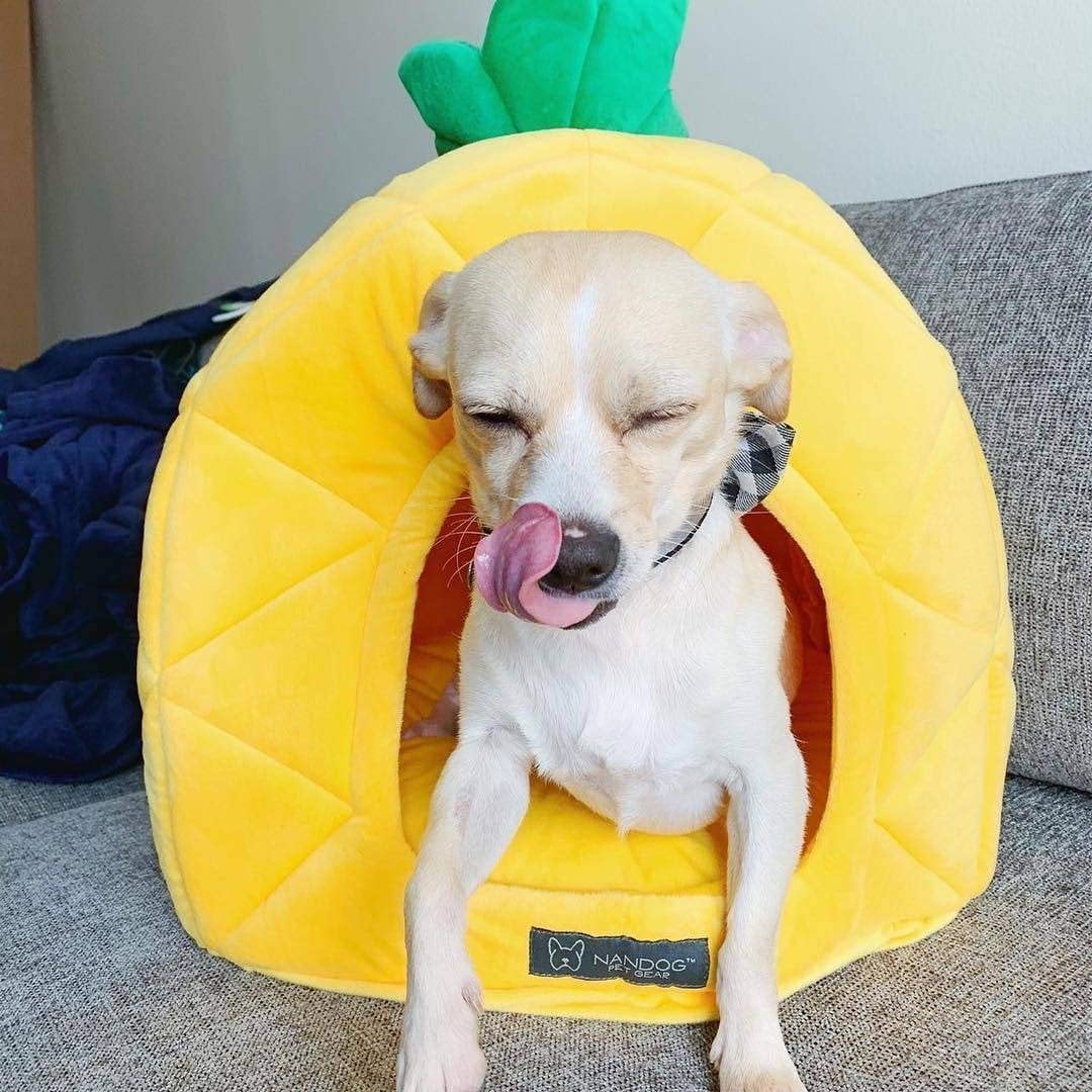 NANDOG Pineapple Pet Bed 16" - Fun Tropical Design - Ultra Soft Micro Plush Fabric - Durable, Cozy, and Washable - Ideal for Cats & Small/Medium Dogs