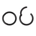 thumbnail image 1 of Hinged Piercing Hoops - Cartilage, Nose, Rook, Daith, Septum, Eyebrow - 16ga, 1 of 1