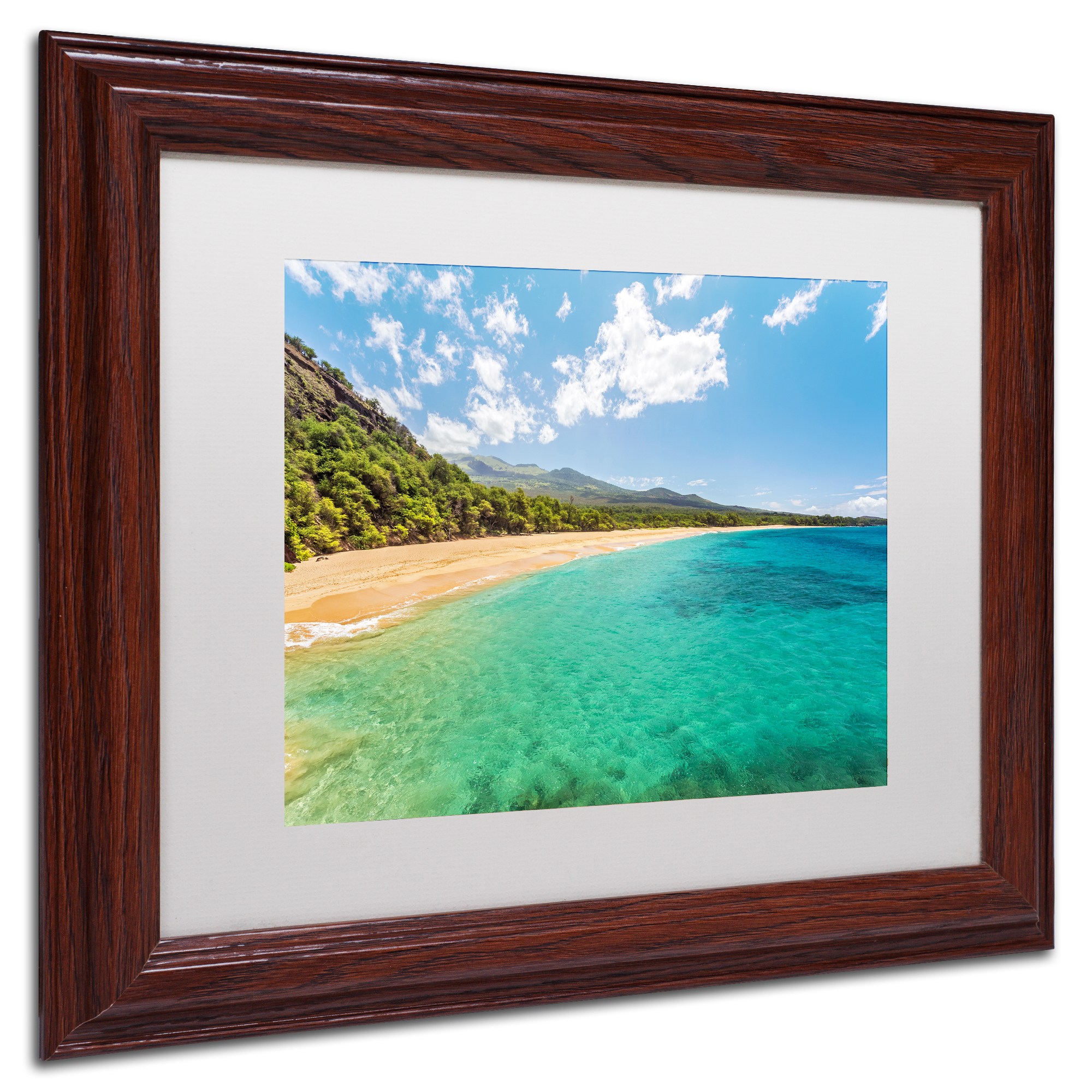 Trademark Fine Art 'Makena Beach Maui' Canvas Art by Pierre Leclerc, White Matte, Wood Frame