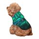 thumbnail image 5 of Balery Northern Lights Sudadera con Capucha para Perros Pequeños – Ropa para Mascotas, Disfraz para Perros y Gatos, Ideal para Fiestas y Cosplay-X-Small, 5 of 7