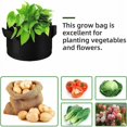 thumbnail image 4 of Bolsas de Plantación No Tejidas, Juego de 12 Bolsas de Cultivo para Papas, Plantas, Tomates, Macetas de Tela para Aireación de Vegetales con Asa, Negro - 2 Galones (12 Piezas), 4 of 5