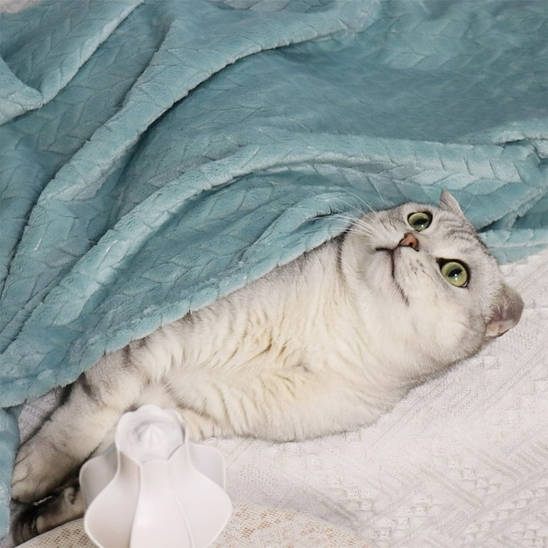 Calming blanket best sale for cats