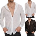 thumbnail image 3 of CENL Men Mesh See-through Loose Shirt Top Sexy Long-Sleeved V-neck Turn-down Collar, 3 of 6