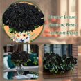 thumbnail image 4 of Flores artificiales Jefuzh de rosas negras falsas, 30 unidades, para Halloween, 4 of 7